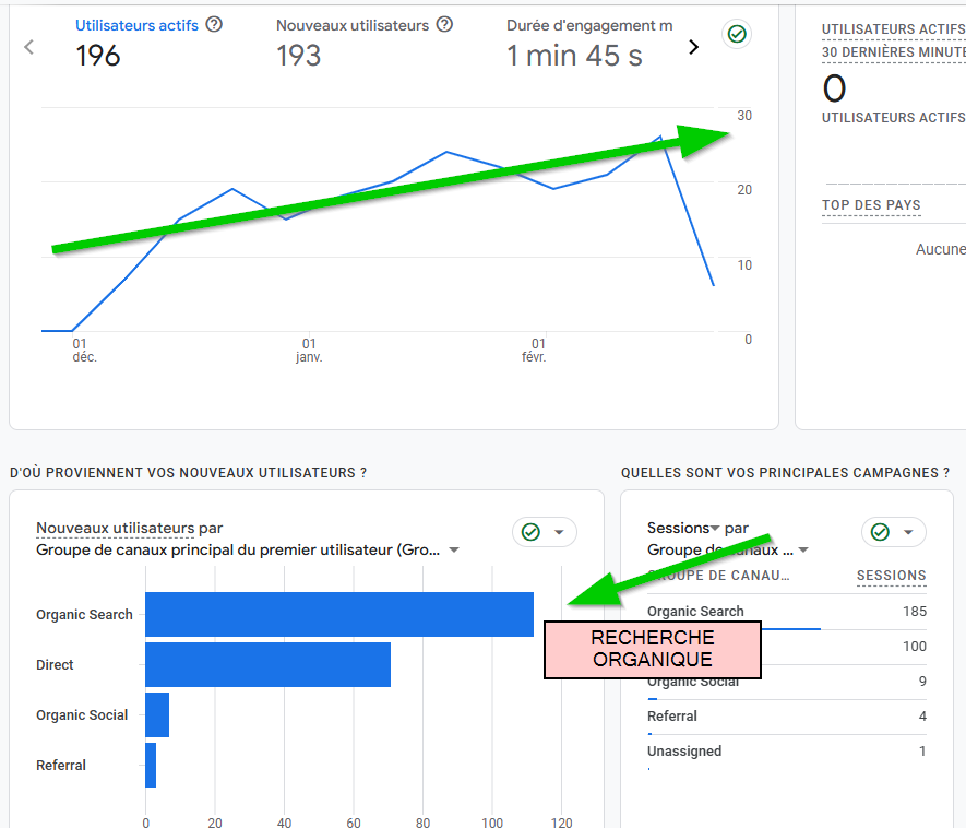 Rapport SEO Corail