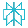 Logo Perplexity